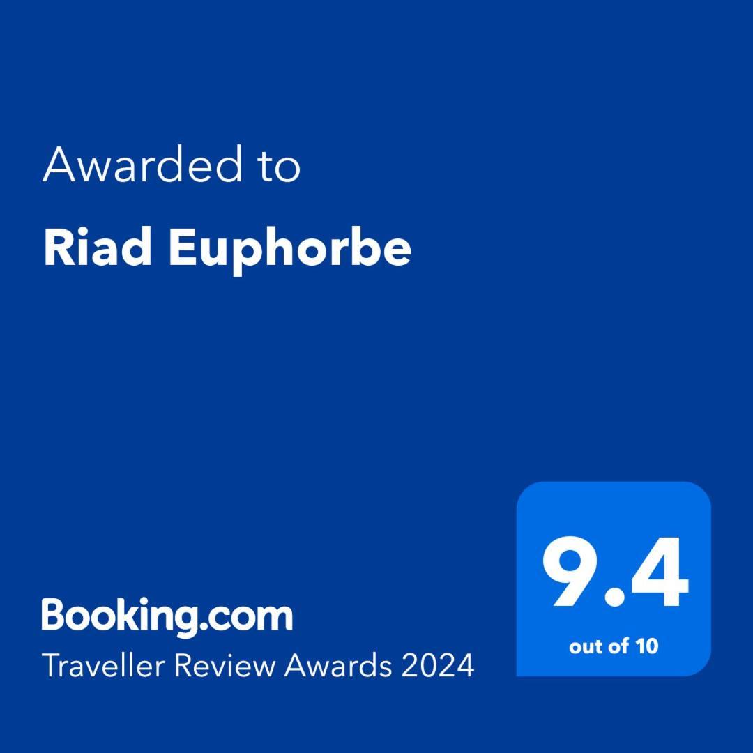 Riad Euphorbe Marrakesh Ngoại thất bức ảnh